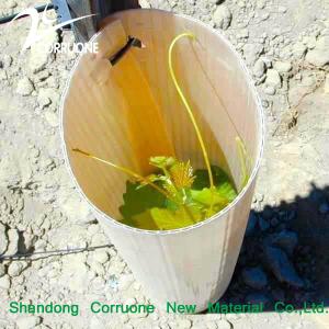 Wholesale Customizable Green Recyclable Corrugated Plastic Tree Tube for Sustainable Planting from china suppliers