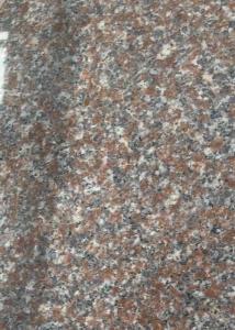 Wholesale G3768 / G368 Granite Exterior Wall Tiles , Granite Floor Tiles For Living Room from china suppliers