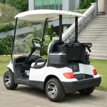 High Safe Mini Electric Vehicle Golf Cart With CE Certificate