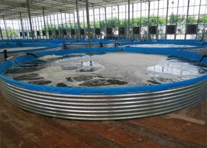 Wholesale Galvanized Sheet Aquariums Tarpaulin Fish Breeding Tank 30M Diameter Large from china suppliers