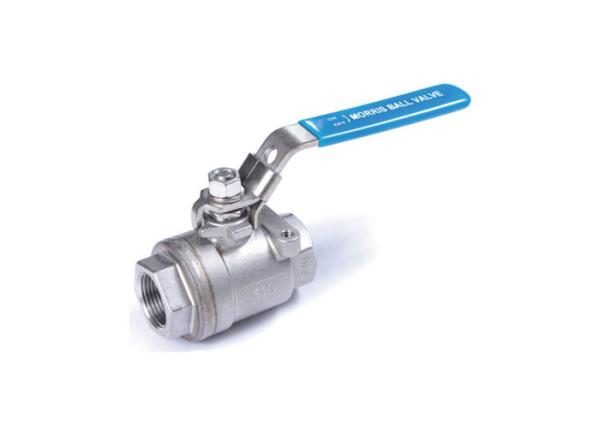 2 Inch Full Bore Reduced Floating Ball Valve Wafer Type DN100