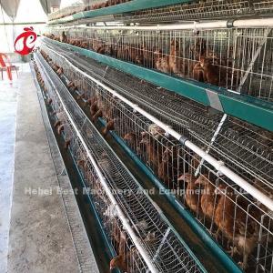 China Electric Galvanized Layer Poultry Farm Cage Anti Rust Layer Battery Cages Emily on sale