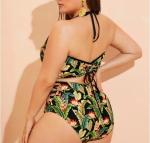 2019 New Plus SizeTwo piece Swimsuit Women Push up