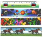 PLASTIC LENTICULAR 3d flip pp pet Plastic lenticular Ruler Measuring Straight