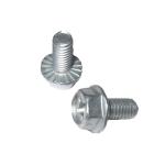 ISO9001 Certified Carbon Steel DIN 6921 Point Hex Flange Bolts for Various