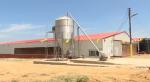Steel Farm Animal House Single Slope Livestock Farming Customized