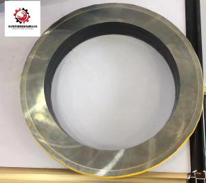 Wholesale Construction Putzmeister Concrete Pump Spare Parts 230/235 Wear Ring from china suppliers