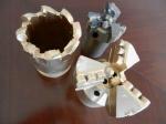 PDC Anchor Bit