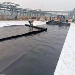 Environmental Smooth Plastic Fish Pond HDPE Geomembrane with Industrial Design
