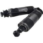 R230 Rear LH RH Hydropneumatic ABC Shock Absorber For Mercedes SL Class