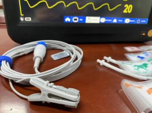 Wholesale CMS Touch Veterinary Multiparameter Monitor 15 Inch For Animal Surgical from china suppliers