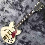 Double F-Holes Hollow Body Jazz Electric Guitar Ebony Fretboard Tremolo System