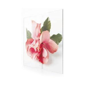 Wholesale glass LED transparent display EXCEL LED from china suppliers