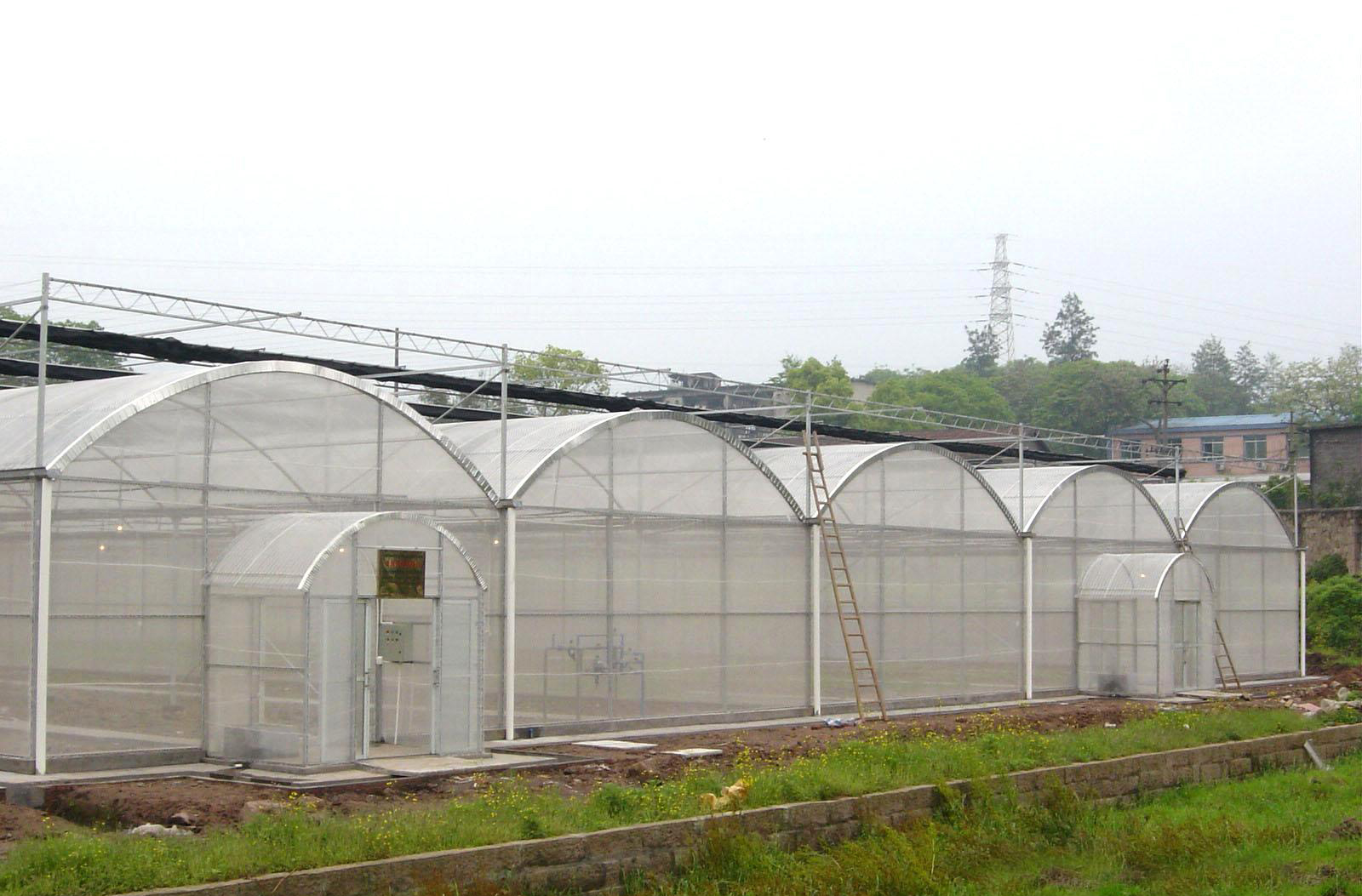 Super Strong Resistance Agriculture Multispan Greenhouse Frame for Growing Vegetables