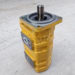 CBGJ Double Pump Square cover Spline Compact Original Gear Pump For Engineering