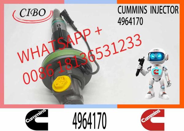 COMMON RAIL FUEL INJECTOR 4964171 4955525 F00BL0J018 F 00B L0J 018 Y431K05417 Y