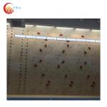 Outdoor Climbing Holds Training Hold Resin Rock Indoor Climbing Hand Holds