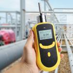 100% Vol N2 Nitrogen Gas Detector Pumping Suction For Food Protection Industry