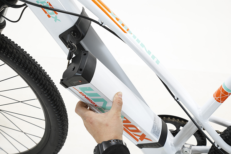 Customized 6 Speed Lithium Battery Electric Mountain Bike for Off-Road Adventures