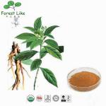 Superior Quality Featured Product 5%-98%Chlorogenic Acid Honeysuckle Flower