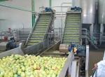 2000KG Seedless Mango Juice Processing Plant Automatic 75kw
