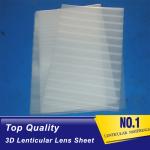 wholesale 60 LPI 3D Flip Lenticular Plastic Lens Blanks without double side