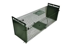 Wholesale 50cm Galvanized Large Cat Trap Cage Catch And Release Humane Animal Cage Trap from china suppliers