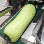2.2KW 350KG Large wax gourd peeling machine wax gourd peeling thickness