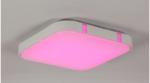 Modern Ceiling Lights RGB ceiling Lamp kitchen overhead light fixtures (WH-MA-33
