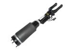 Air Spring Mercedes R Class Suspension 2513205613 W251
