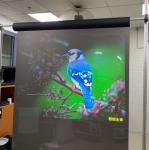 1.52x5 Meter transparent projection film , Holographic Rear Projection screen