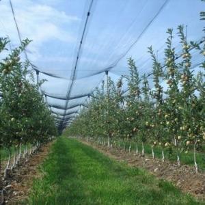 Wholesale #2021 Factory supply anti-hail net / Hail Protection Net / apple tree Anti Hail net from china suppliers