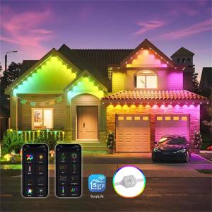 Wholesale Landscape Point Pixel Led Light Rgbw Outdoor Holiday Decoration Spi 12v Led Eaves Light from china suppliers