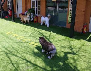 Wholesale Garden Artificial Grass Turf PE Synthetic Turf 35mm Landscaping Grass from china suppliers