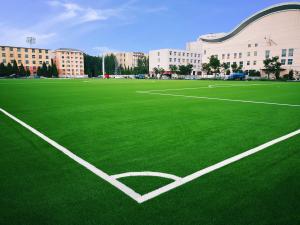 China Football Grass Artificial Grass For Football Soccer Grass Soccer on sale