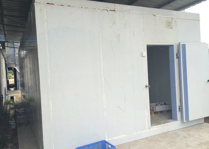 Hard Polyurethane Foam Cold Storage Room For Vegetable / Fruit / Meat / Fish And Air Cooling Approach