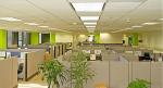 Decorative Suspended Ceiling Tile Panel for Acoustic Sound Insulation in 300*300
