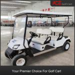 Compact Chargeable Electric Golf Buggy 14inch Tire Size 80 - 100km Traveling