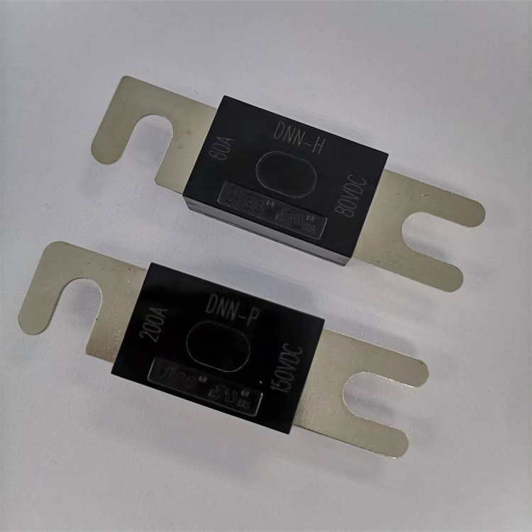 UL Certified AC250V 100A Low Voltage Flat Plug Fuse Time-lag Fuse Made in China