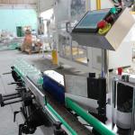 Liquid Detergent Shampoo Bottle Filling Machine Filler Packaging Line