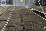 Agriculture Metal Mesh Nursery Rolling Benches Movable Greenhouse Cultivation