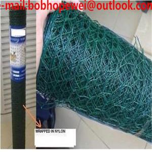 China chicken wire manufactures/wire netting fence/poultry netting 50*50/hexagonal wire mesh chicken/chicken wire sizes on sale