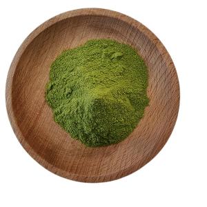 Wholesale Moisture 3% Ascophyllum Nodosum Extract Seaweed Polysaccharides 40% Green Powder from china suppliers
