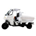 Heavy Three Wheel Cargo Motorcycles Moto Carguero Load Gasoline Zipstar Tricycle