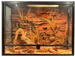 Beauty And Safe Reptile Enclosure Background Compact DIY Reptile Terrarium