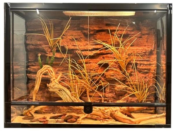 Beauty And Safe Reptile Enclosure Background Compact DIY Reptile Terrarium