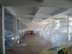 Beautiful Shining Zorb Ball for Adults