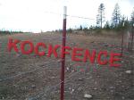Customized Steel Star Picket , Hot Dipped Galvanized Y Fence Post
