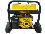 Portable Gasoline Generators WDF-250 250A