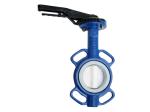 PN16 Ductile Iron Seated Wafer Sphere Valve Water Oil Medium